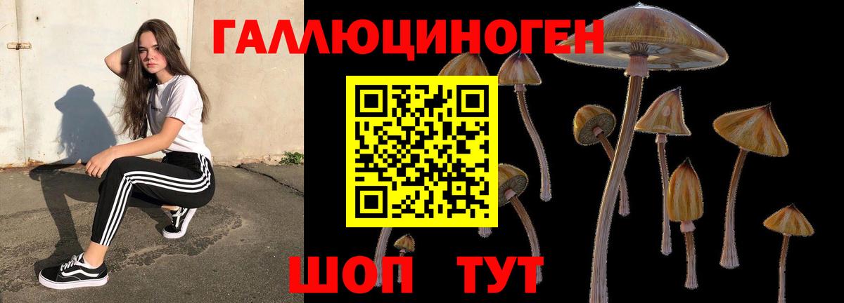 Энгельс  Псилоцибиновые грибы мицелий  Галлюциногенные грибы Psilocybine cubensis  Вход с VPN 